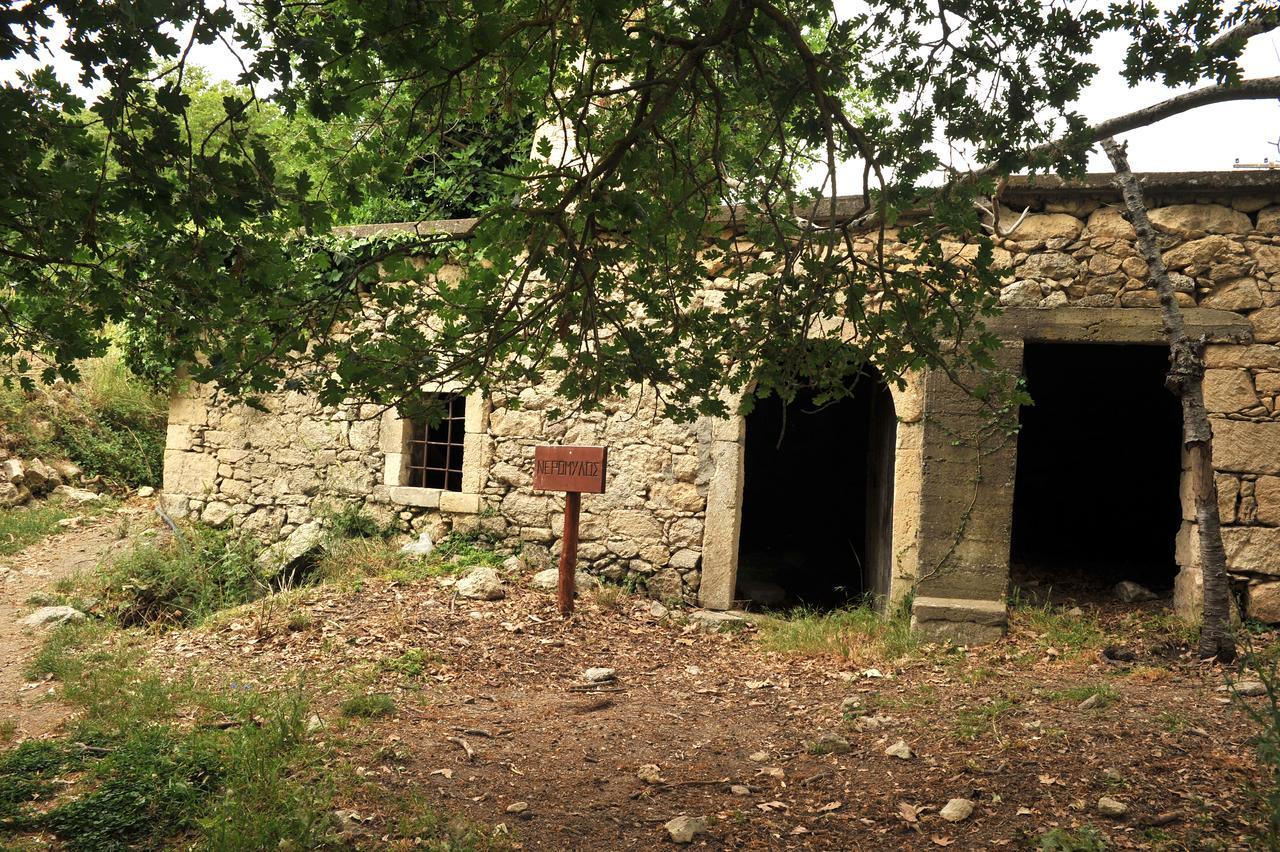 Villa Axenti Agios Thomas  Zewnętrze zdjęcie