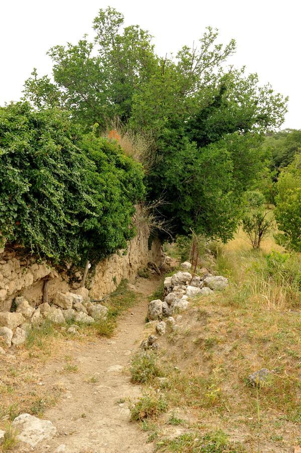 Villa Axenti Agios Thomas  Zewnętrze zdjęcie