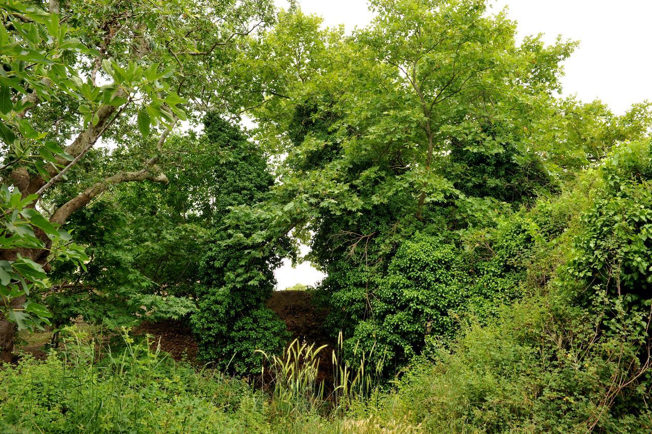 Villa Axenti Agios Thomas  Zewnętrze zdjęcie